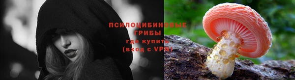 тгк Алексин
