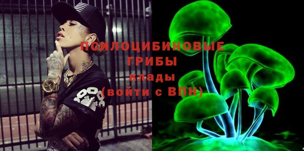 тгк Алексин