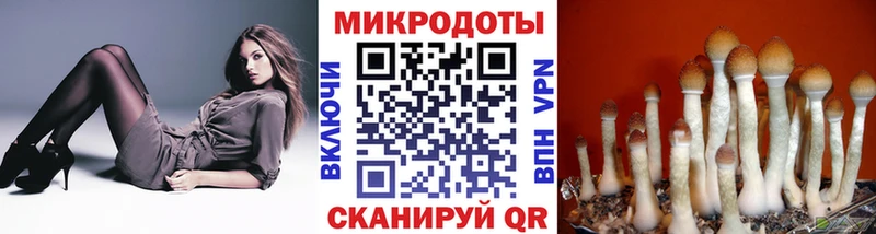 Галлюциногенные грибы Magic Shrooms  Сургут 
